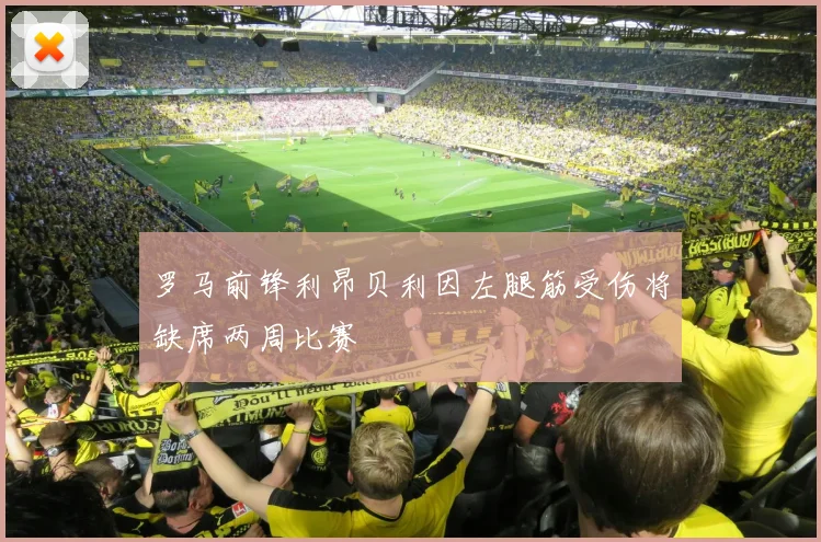 罗马前锋利昂贝利因左腿筋受伤将缺席两周比赛
